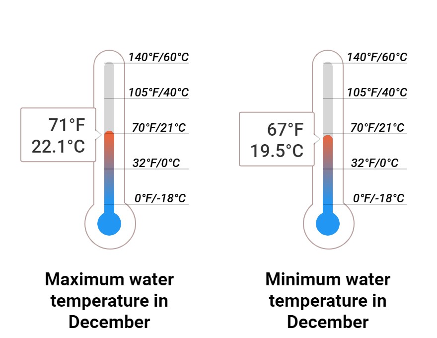 Average Sea temperature